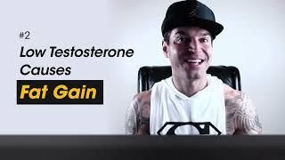 The relationship between testosterone and fat loss:  By Dylan Gemelli