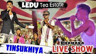 LEDO tea Estate live program || Dist - Tinsukiya || Sada Tema live show at ledo bagan || Tema video