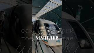 Самый скоростной поезд в Китае 430 км/ч #train #maglevtrain #maglev #shots2024 #sanghai #vlog