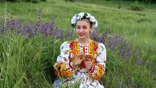 На заре