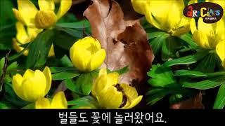 1호 6세 봄 풍경 영상