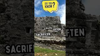Unearthed Chronicles | Did You Know? - Deadly Game #didyouknow #shorts  #discoverhistory
