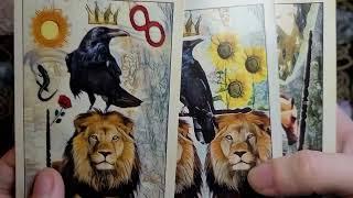 Tarot Review: Crow Tarot Review | Real vs. Fake