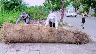 Neighbors said there was no sidewalk here until they saw under the giant roll of grass - part 2