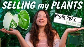 How I make Money selling Houseplants | Sales & Profit Analysis