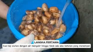 CARA PEMBUATAN TEMPE BIJI DURIAN