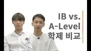 IB vs. A-Level 학제 비교 | 그루미