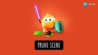 Prune Scene Features