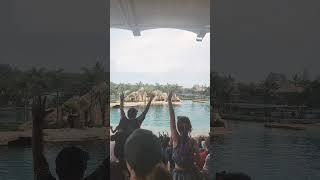 #australia #youtube #sea world