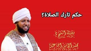 حكم تارك الصلاة _ الشيخ د.محمد الأمين إسماعيل