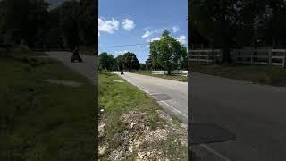 racing mower does 31 mph!! #mower  #racemower #lawnmower