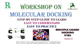 Workshop on Molecular docking - Multiple ligand docking - Series-4