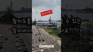 월미바다열차 타고 월미도 8경 기네스북 사일로벽화 투어하기 #월미바다열차 #월미도투어 #기네스북 #월미8경 #사일로벽화