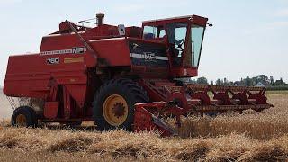 Prairie Queen: Massey Ferguson 760 | Classic Wheat harvest