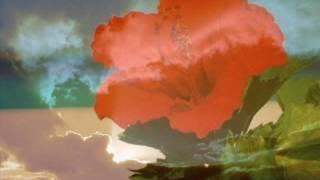 神谷千尋  空よ海よ花よ太陽よ ↝ TBNYD13