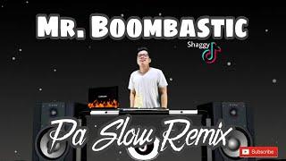 MR. BOOMBASTIC PA SLOW REMIX 2022 - SHAGGY BASS BOOSTED MUSIC FT. DJTANGMIX EXCLUSIVE