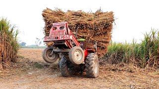 Very deadly stunts by MF 385 with heavy loaded trolley - Excellent Power