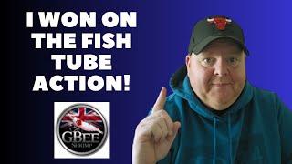 Auction Win | FishTube Auction | Fishkeeping |GBee Shrimp