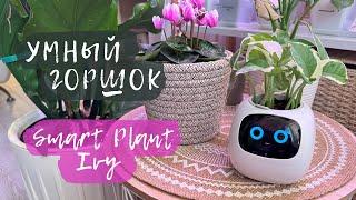 Умный горшок | Smart Plant Ivy