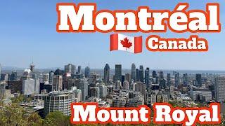 Montréal, Canada  | Climbing the Mount Royal (Summer) | 4K Walking Tour