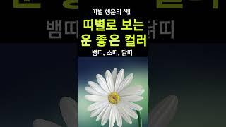 새해 12가지 띠별 행운의 색상! 재물운 올려주는 행운의 색! #띠별운세, #새해운세, #사주, #금전운, #대박,