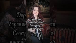 "Деревня моя" Караоке под гармонь...