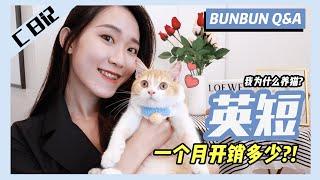 【Q&A】为什么突然养猫?!  ️ 养一只英短一个月的开销需要多少？我到底适不适合养猫呢....