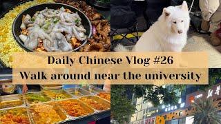 【20 mins Chinese Vlog #26】 Walk around near the university  在大学附近逛逛 | Eng subtitles | with pinyin