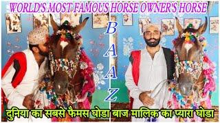 world's most famous horse owner’s horse | Baaz | owner name pir sahab  beautiful Single footer horse