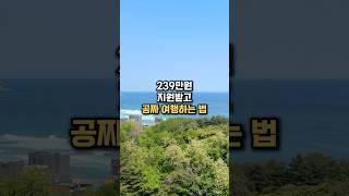 ‼️239만원 지원받고 공짜로 여행하는 방법 #여행꿀팁 #비상정원 #travel #여행협찬 #무료여행 #국내여행 #여름휴가 #한달살기 #크루즈여행 #한달살이 #마실 #한달살러