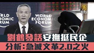 劉鶴發話安撫挺民企 分析：急滅文革2.0之火｜中國一分鐘
