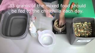 Nutrition and feeding: Feeding a chinchilla