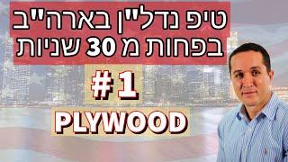 סרטון 497 - טיפ מספר 1 בפחות 30 שניות - PLYWOOD - השקעות נדל"ן בארה"ב