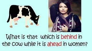 Common Sense Questions | Funny Questions In English | Puzzles In English | Riddles In English|