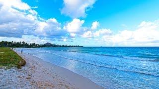 Kailua Home Recent Sale -  Kailuana Loop - Kailua Beach Real Estate