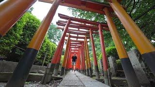 Tokyo’s Best-Kept Secret Spot | Nezu-Jinja (Ueno)