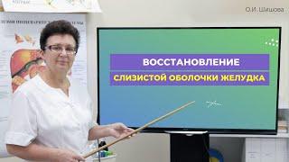 ВОССТАНОВЛЕНИЕ СЛИЗИСТОЙ ОБОЛОЧКИ ЖЕЛУДКА, ЧЕРЕЗ ПРАЙМ-ТЕСТ. [Шишова О.И.]