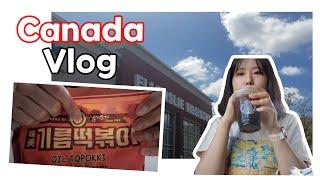 캐나다 vlog | 내가 중국인이라고...? Circle DNA 유전자 검사 결과 | 에블리데이