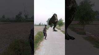 Big Dinosaur chase T-Rex attack part 205 #trending #dinosaur #vfx #youtube #shorts