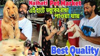 ভল্লুকের বাচ্চা পাওয়া যায় || Best Quality    || Naihati Pet Market ||@BLOGPOTHIK-rz5zj