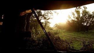 Hunting Whitetail Deer Out of Pop Up Blinds