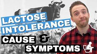 Signs Of Lactose Intolerance (What Causes Lactose Intolerance?)