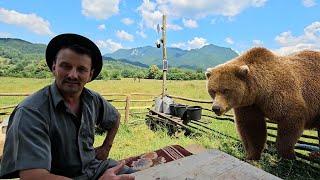 ADORIAN A VAZUT URSUL DE 600 KG,CEL MAI MARE DIN MUNTII CARPATI! DISCUTII CU ADORIAN ADAM.