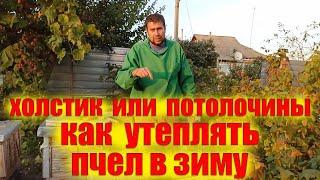 Как утеплять пчел в зиму на пасеке? Что выбрать потолочины или холстики утепление пчелосемей на зиму