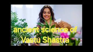 lucky plants according to Vastu Shastra 🪴