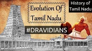 The Evolution of Tamil Nadu | History of Tamilnadu | #dravidians | Eclectic