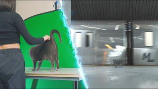 Making vfx with my arrogant cat