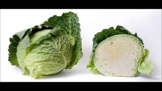 Cabbage :: The Audiopedia