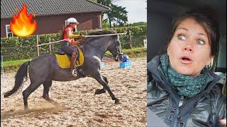 Mijn hengst trainen voor Working Equitation wedstrijd debut! Mee naar WE wedstrijd van Romy