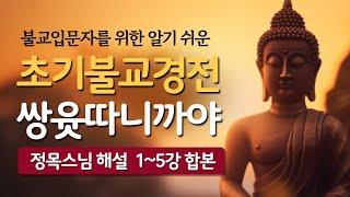 불교공부를 위한 필수강의ㅣ정목스님의 친절하고 상세한 해설ㅣ부처님의 생생한 원음 #초기불교경전 #쌍윳따니까야 #정목스님